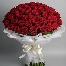 Букет 101 Красная роза Блэк Мэджик в Юце