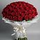 Букет 101 Красная роза Блэк Мэджик в Юце