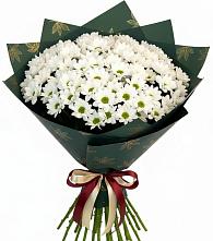 Букет цветов из:  Хризантемы #REPLACE_PRED# Юце